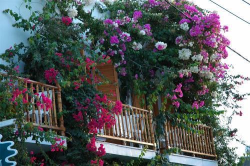 Arian Hotel Parikia  Ngoại thất bức ảnh